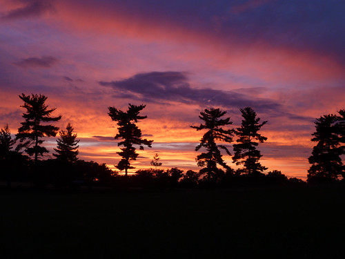Awesome sunset! by Land Matters Photography, silhouettesshadows virginiastatearboretumblandyexperimentalfarmsunsetsilhouette