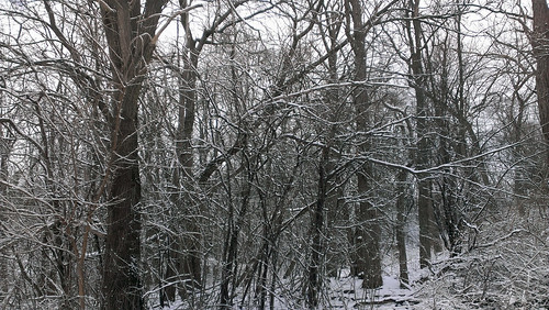 road winter snow cold spring woods snowy michigan april vernal washingtontownship