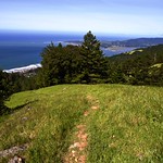Marin Wilderness