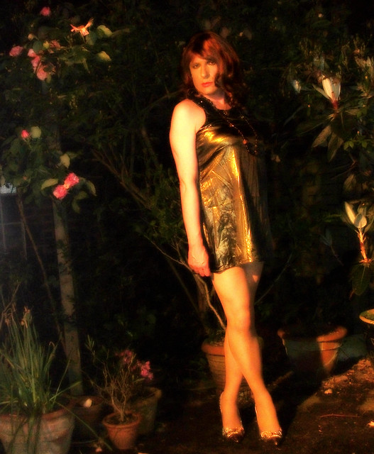 Rebecca Rewinds: Bronze Party Dress