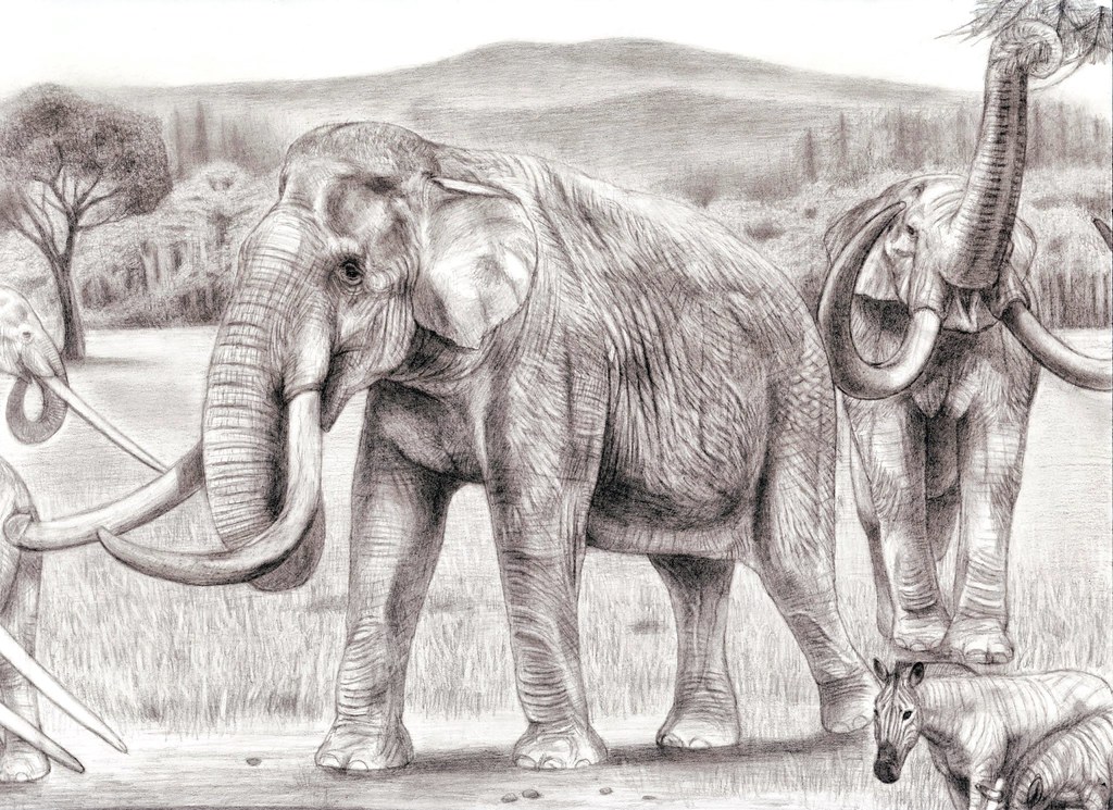 The Southern Mammoth (Mammuthus meridionalis) from the mid-Pleistocene Southern Europe(Prehistoric Safari excerpt)