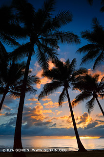 Vivid Sunrise at Palm Cove, Cairns, Queensland (QLD), Australia
