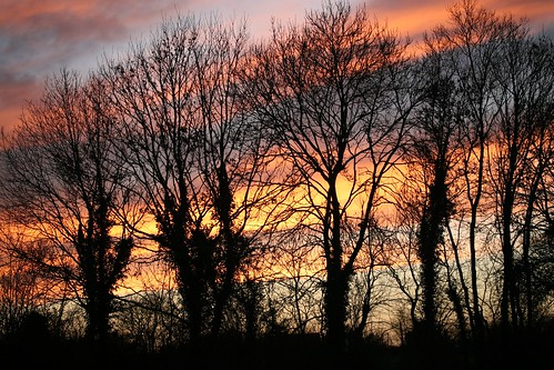 sunset newyearseve redsky hedgerow colourfulsky gowran 2013 cokilkenny ashtrees bramblestown