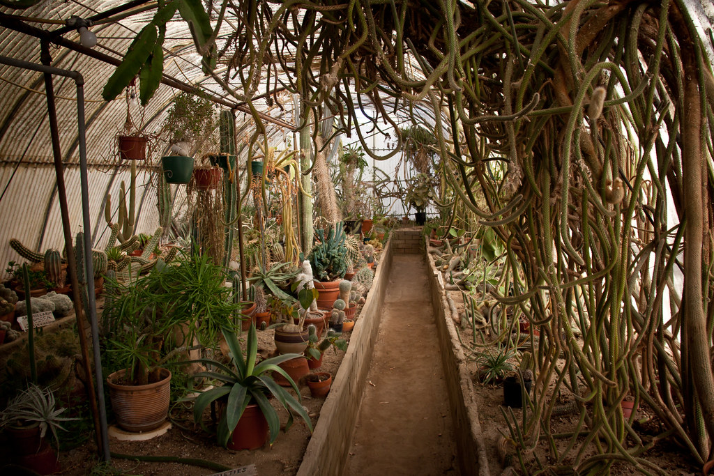 Inside The Cactarium Moorten Botanical Garden Palm Spr Flickr