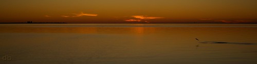 sunset fish beach silhouette canon eos rebel bay jump florida mullet okaloosa choctawhatcheebay t4i choctawhatchee borderfx canont4i