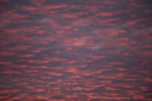 Sunrise by Daniela Bowker, A little before 06:00.sky cloud sunrise newmarket