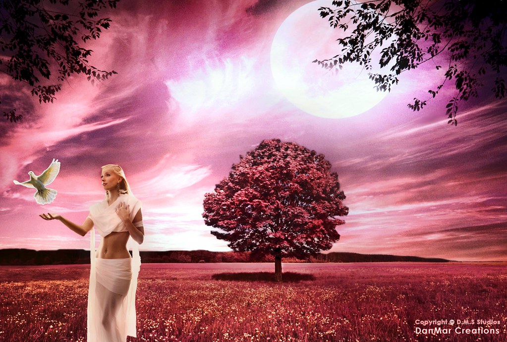 Lovely Infrared Landscape with a Beautiful Woman and White Dove, by DMS - #Flickr12Days
