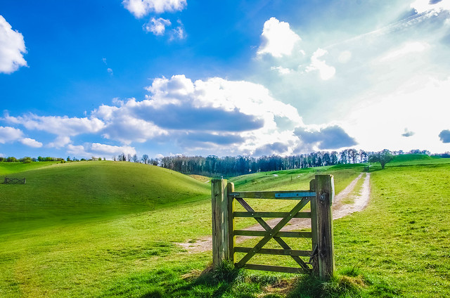 the gates in your life can often be sidestepped for a better brighter path in your future