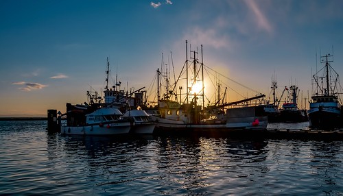 seiner fishboats steveston harbour sunset twilight dusk water fraserriver dock moored mooring glow fishingvillage harbournights