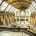 Natural History Museum of London