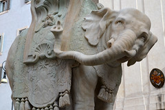 L'éléphant de la place Santa Maria Sopra Minerva