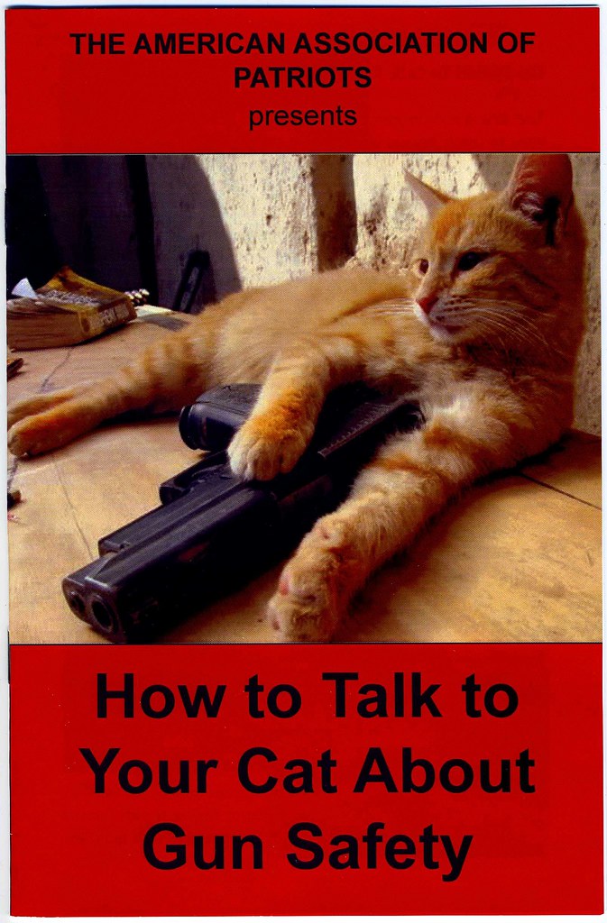 How to Talk to Your Cat About Gun Safety, by the America…