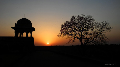 sunset india mp arbre bâtiment ruines mandu madhyapradesh coucherdesoleilleverdesoleil rupmatispavilion