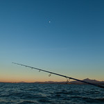 https://www.twin-loc.fr Pêche et lune - Fishing and moon - http://www.yakapecher.com