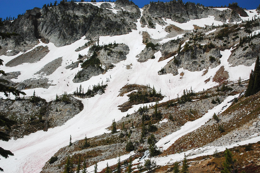 Eagle Cap Summit Trail