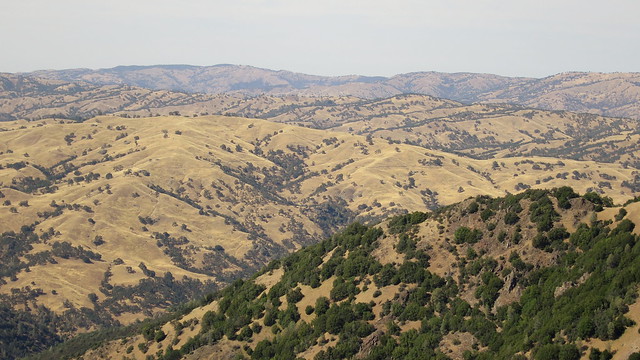 Rolling hills of the Diablo Range