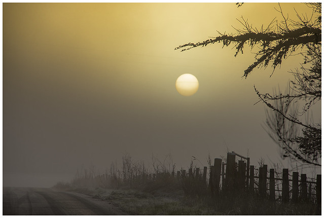 Peculiar Conditions - pictures around sunset in freezing fog