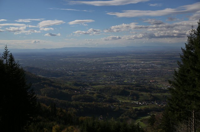 The view over the Rhine Valley
