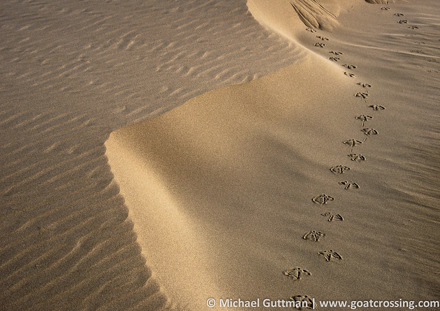 Sand Patterns 3 - Leave Only Footprints