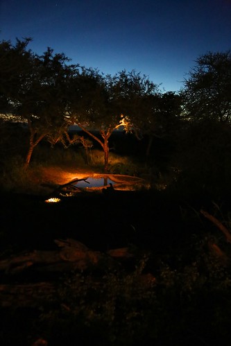 africa sunset tanzania tarangire tarangiretreetopslodge