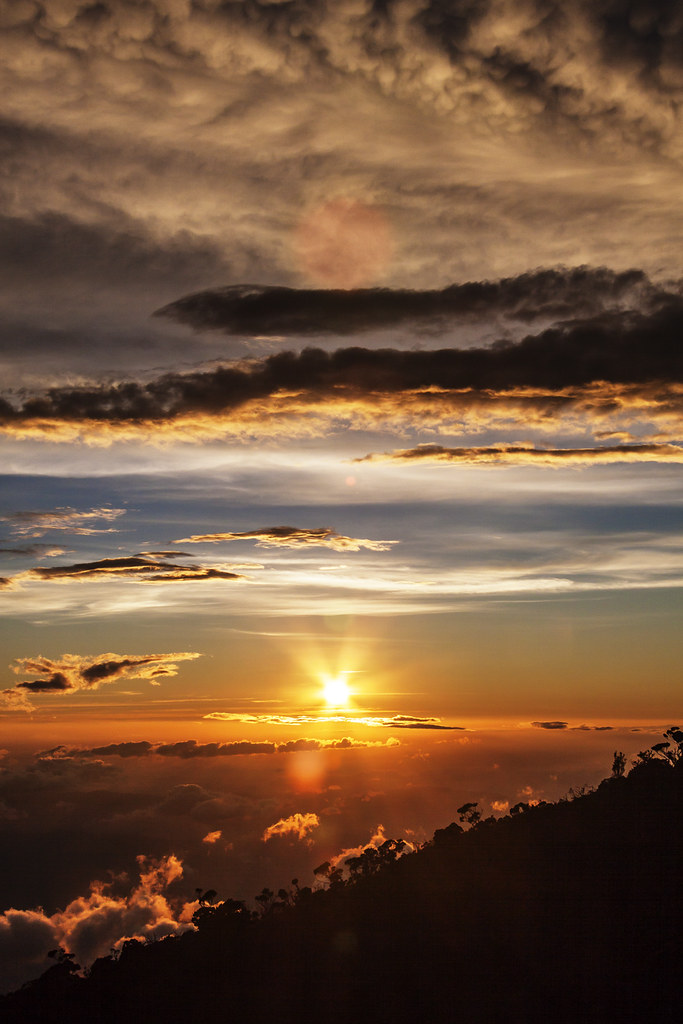 C50D-IMG_9614-PR Canon EOS 50D Mt Kinabalu Borneo Malayasi… | Flickr