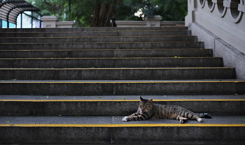 "king george v..." by hugo poon - one day in my life