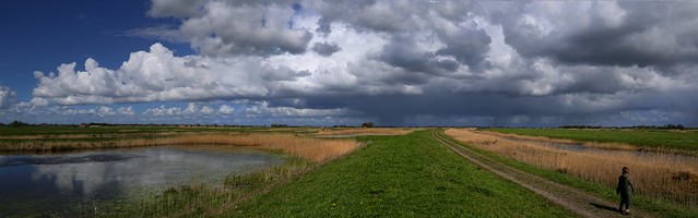 After toxid dump the Volgermeerpolder is  a new nature reserve