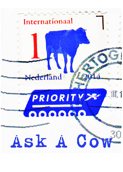 Ask A Cow ATC