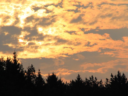 Gleaming sky by Gerlinde Hofmann (Linda), germany thuringia village schackendorf silhouette conifer cloudy sky morning fleecycloud schäfchenwo