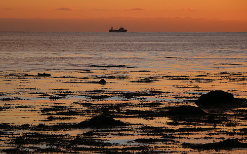Sailing into the sunset by hó, ship sunset faxaflói iceland sea kelp orange horizon march 2017