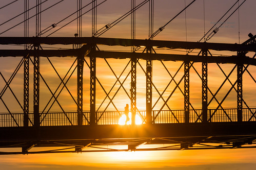 sunset cincinnati roeblingbridge bridge silhouette covington kentucky unitedstates us