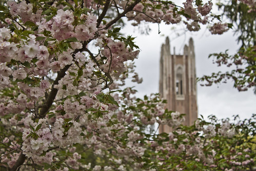 Campus Beauty Spring 2013