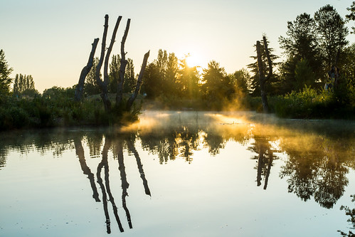 Fog and Sun by vlad 54, sun reflection fog sunrise pond magnusonpark sonya77 sony165028ssm