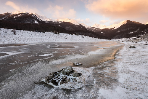 Iced by Fabrizio Lippolis, 