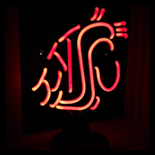 Neon #WSU logo, best invention ever? #gocougs