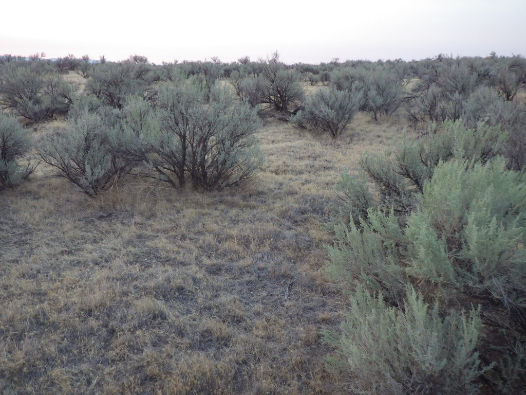 Oregon Trail, near Kick for Kenya 5K