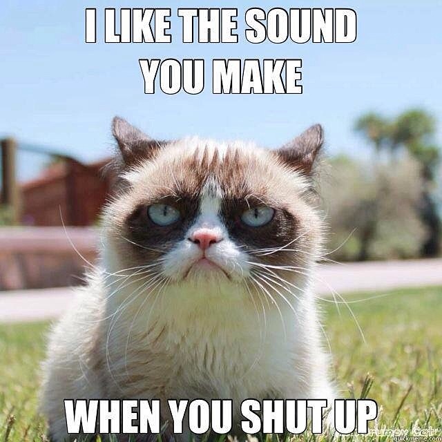 Boss #angry #cat #win #faces #faced #shutup #shut #up #fa…