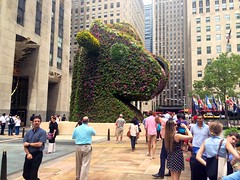 Artist Jeff Koons' enormous flower puppy by Rockefeller Center in NYC