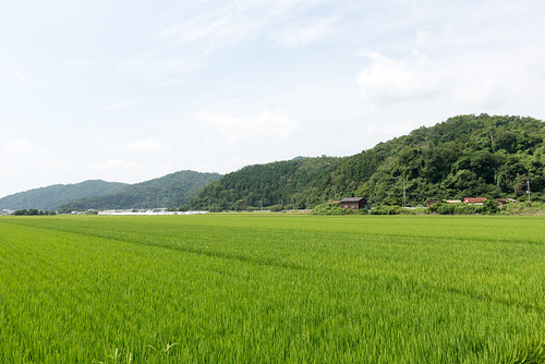 2014 滋賀県 近江八幡市 風景 日本 japan shiga nikond600 landscape day pwpartlycloudy