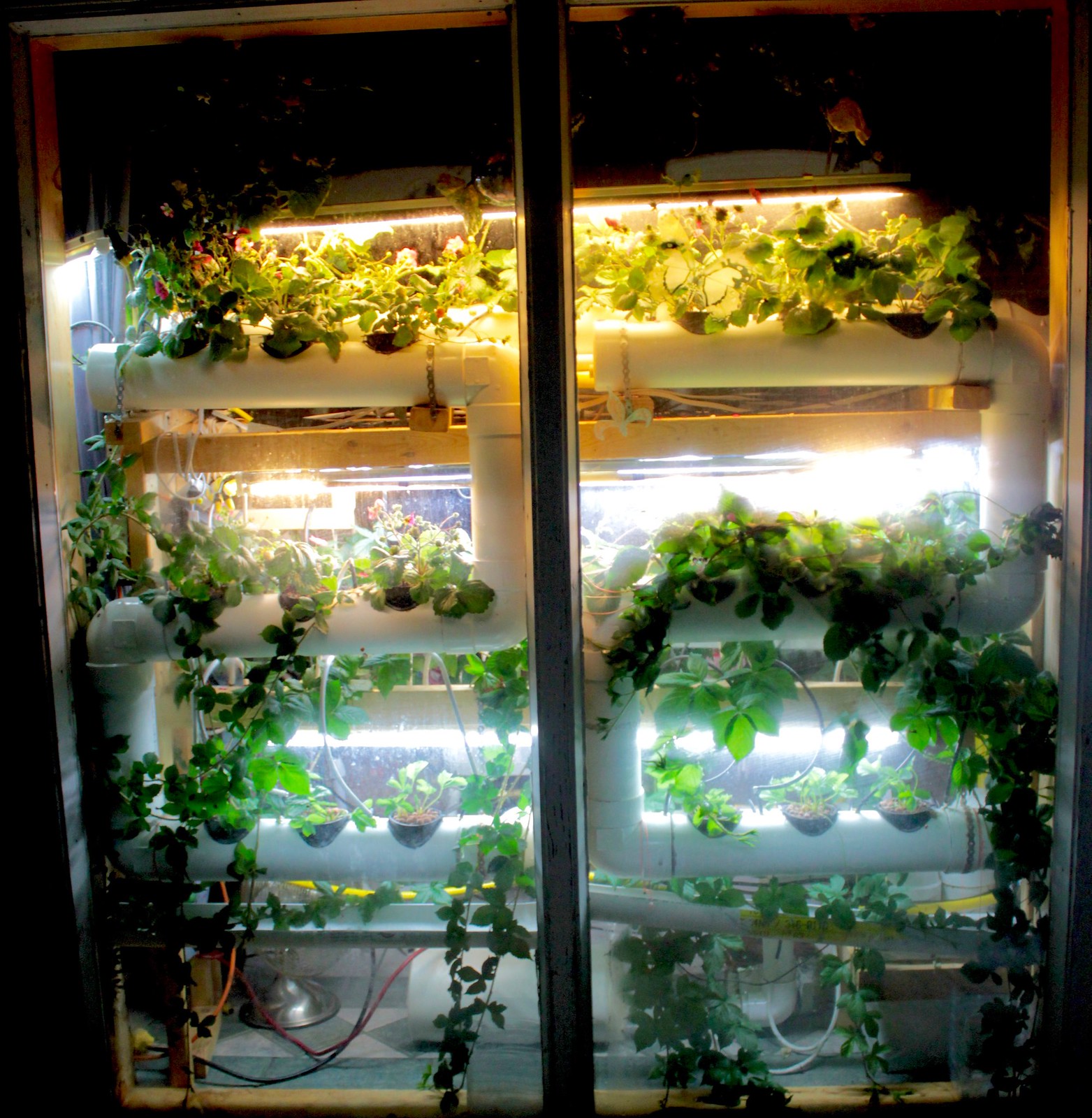 Vertical aeroponic garden from outside