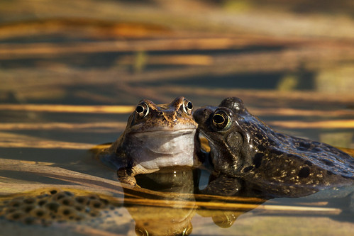 Protection | by NikonTreeMonkey
