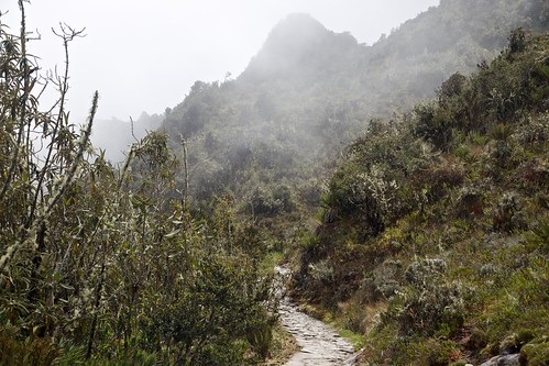 Peru 2014-04-25 at 11-07-54 | by docgazza