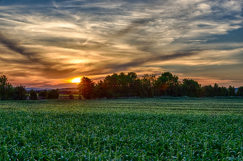 Sunset by der.dave, abend österreich felder photowalk hdr burgenland fotoart tageszeit wulkaprodersdorf siegendorf