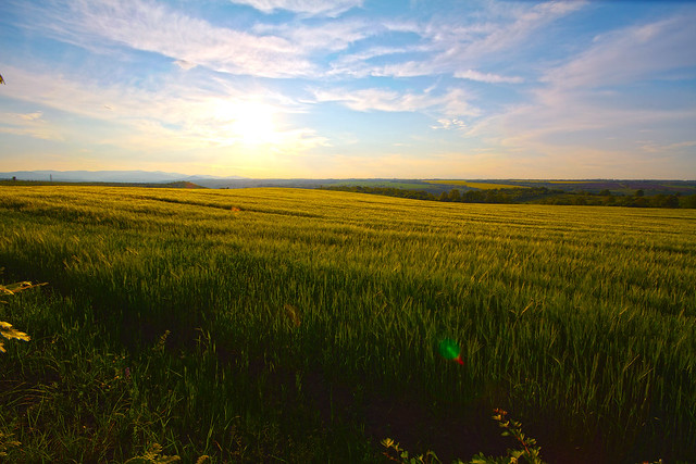 Sunset fields, Bulgaria