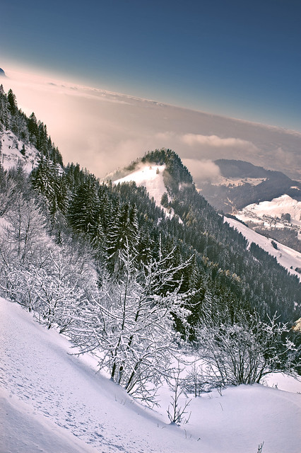 Swiss winter paradise, Paradis hivérnale suisse ,  Les Rochers de Nays . Canton of Vaud. No. 6093.