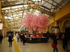 Ueno Station　上野駅