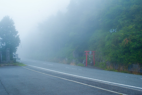fog | by tarpa600r
