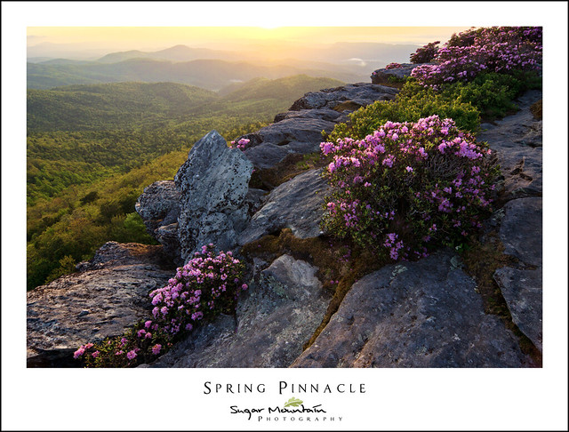 Spring Pinnacle