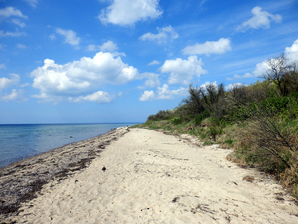fkk strand | OLYMPUS DIGITAL CAMERA | lockenkopf | Flickr