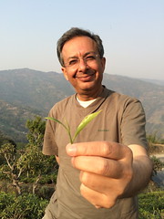 M. Bachan, propriétaire du jardin Jun Chiyabari